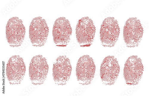 Collection of twelve red ink fingerprints arranged in two rows on a white background