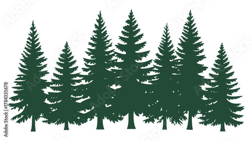 Evergreen forest tree outlines
