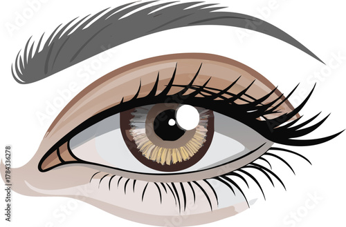 A detailed illustration of a human eye with brown and grey tones