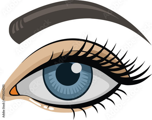 A detailed illustration of a human eye with defined eyebrow and lashes
