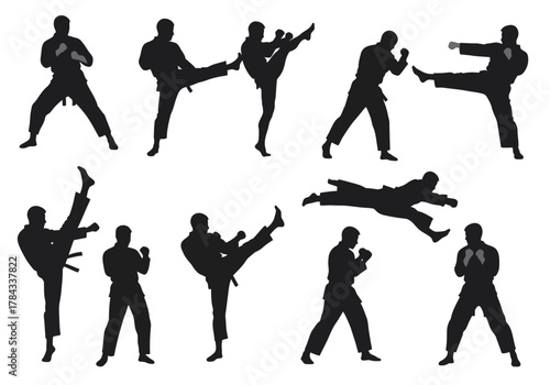Silhouette of Karate and Martial Arts Moves in Black and White