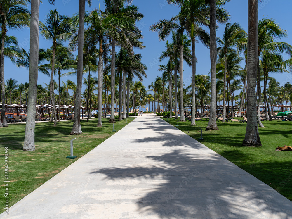 Obraz premium Palm-Lined Pathway at Barcelo Maya Beach, Solidaridad