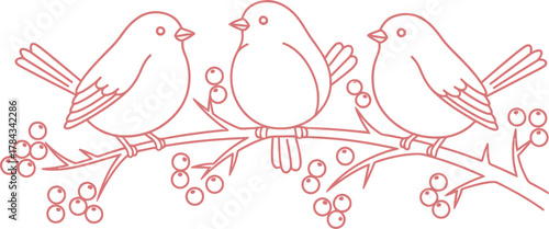 Three Red Birds on Branch with Berries Outline