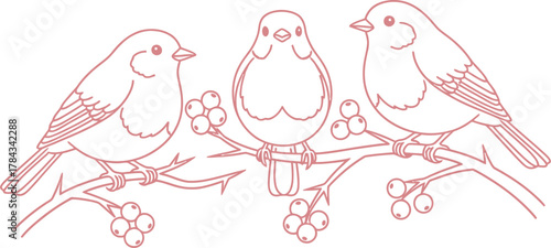 Three Pink Line Art Birds Sitting on a Branch with Berries