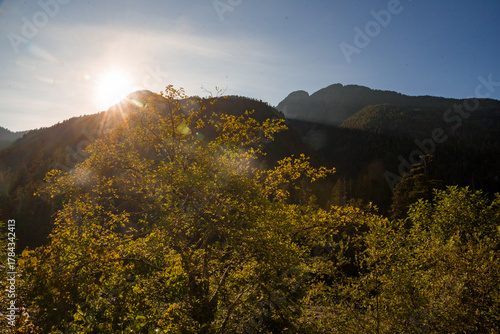 Beautiful sunny sunset in the mountains. Rays pass through the trees and the mountains cast shadows - summer hike in British Columbia, Canada