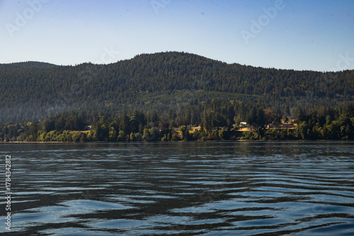 Sea water and green forest in the mountains. Morning lite fog, coastal calmness