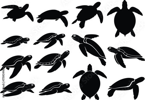 Silhouettes of sea turtles in swimming poses, marine life concept, cad drawing flat vector illustration, ocean animal anatomy reference art
