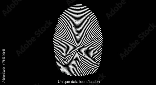 A stark, minimalist graphic features a detailed white fingerprint pattern against a solid black background, symbolizing unique data identification, personal security, and the intricate nature of