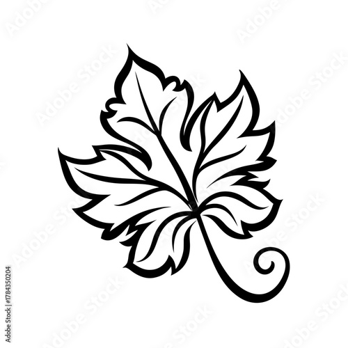 Artistic grape leaf with curls — a connection to vineyards and nature.