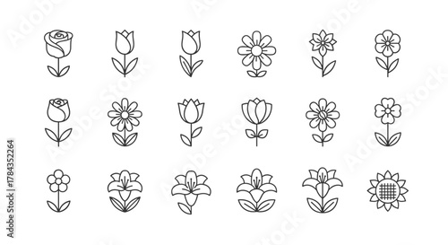 A collection of 18 distinct line art flower icons, featuring roses, tulips, daisies, lilies, and sunflowers, presented as a clean and ordered set on a white background, perfect for logo design and