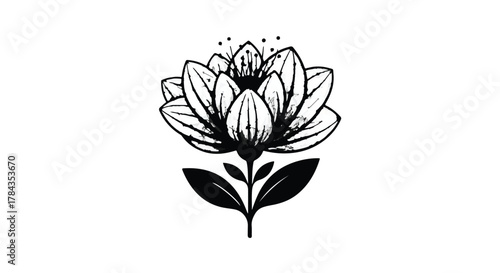 Elegant black and white illustration of a blooming lotus flower with delicate petals and leaves