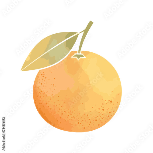 Flat vector style illustration of a tangerine. Fresh citrus fruit with a leaf. Stylized food graphic isolated on a transparent background