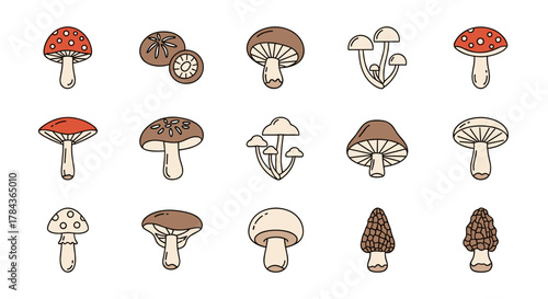 Collection of 15 diverse, hand-drawn cartoon mushroom icons with editable stroke, suitable for web, books, cards, and apps. Features various mushroom types including red and white spotted fly agaric