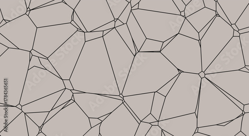 Abstract geometric pattern of interconnected irregular polygons forming a cellular network with black outlines on a solid neutral background.