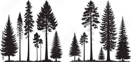 Vector silhouettes of wheat ears and grass alongside winter pine forest nature illustrations