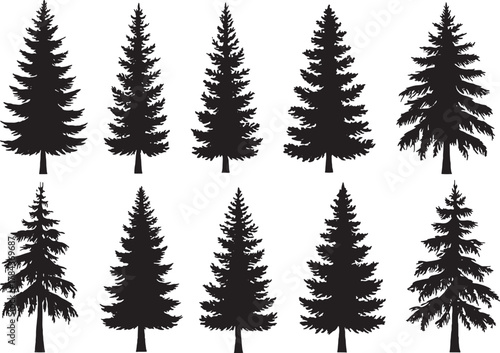 🌲 Set of evergreen coniferous trees: Christmas, winter forest illustration with fir, pine, and snow silhouettes