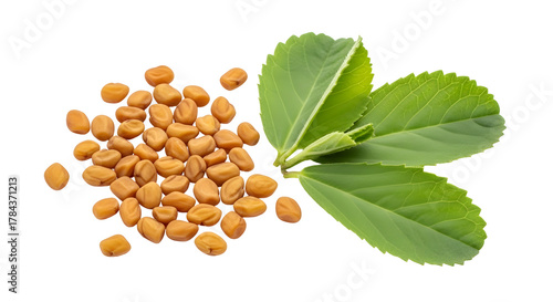 Fototapeta Naklejka Na Ścianę i Meble -  Heap of fenugreek seeds with green leaves, isolated on transparent background