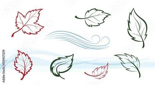 Graphic design elements featuring diverse leaves in autumnal and fresh green tones with artistic wind swirls.