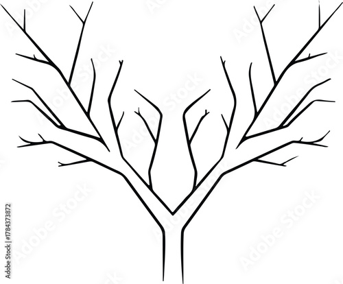 Vector bare tree branches black and white silhouette illustration
