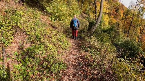 Senior couple hiking through the autumn forest