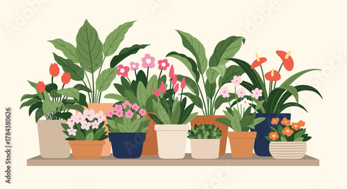 A vibrant collection of various potted flowering and green plants arranged neatly on a wooden shelf against a light background, showcasing indoor garden decor.
