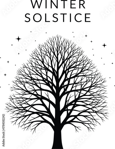Bare tree with stars for winter solstice