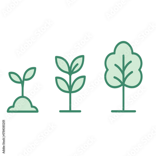 Growth Stages Seedling, Plant, and Tree Development Visualized