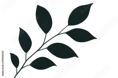Plant shadow overlay creating a natural botanical effect with minimal style, transparent background