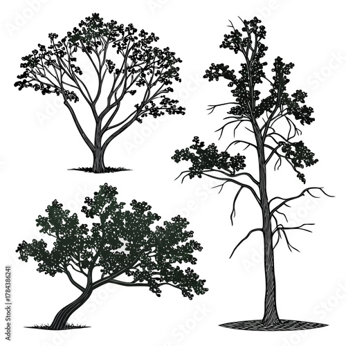 Three black silhouette trees with textured trunks and foliage