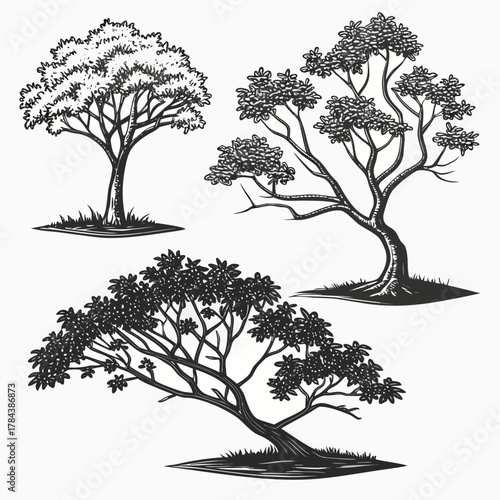 Three black and white tree illustrations in isometric perspective