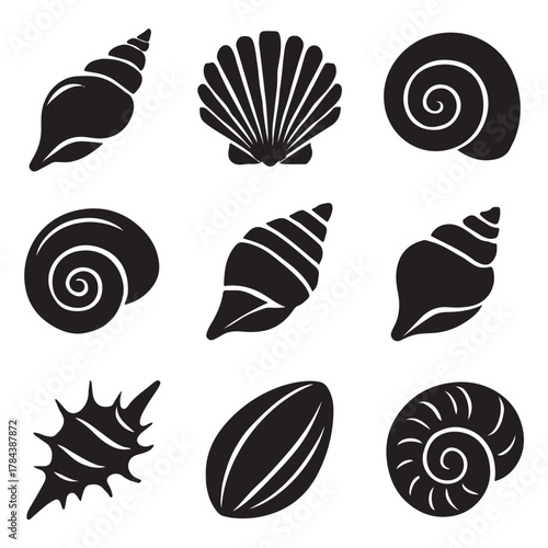 Seashells set vector