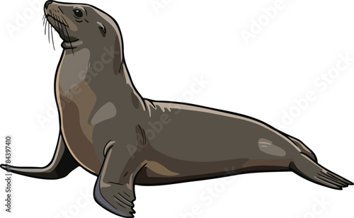 Cute lion seal sea creature vector cartoon illustration