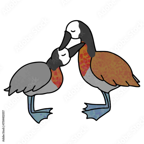 A pair of Dendrocygna viduata