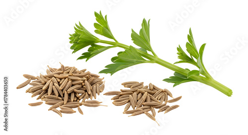 Pile of cumin seeds with celery leaf isolated on transparent background