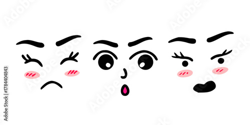 Cute Pig Face with Pink Cheeks and Snout animal