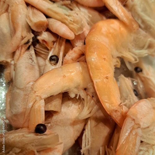 shrimp on ice