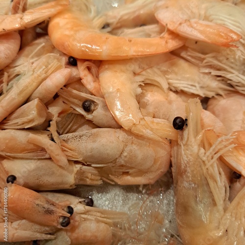 fresh shrimps on the market