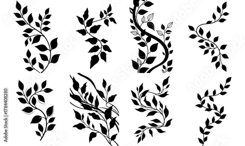 Handdrawn tropical leaves line art vector set exotic outlines for botanical designs nature