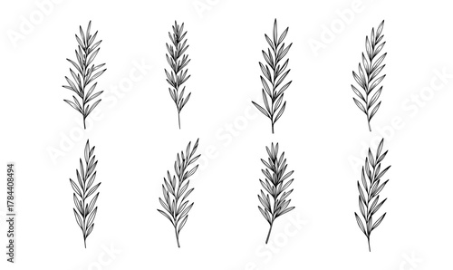 Handdrawn tropical leaves line art vector set exotic outlines for botanical designs nature
