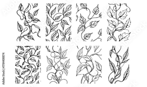Handdrawn tropical leaves line art vector set exotic outlines for botanical designs nature