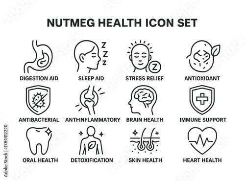 Vector Nutmeg health benefits: icons for digestion, sleep, stress, antioxidant, immunity