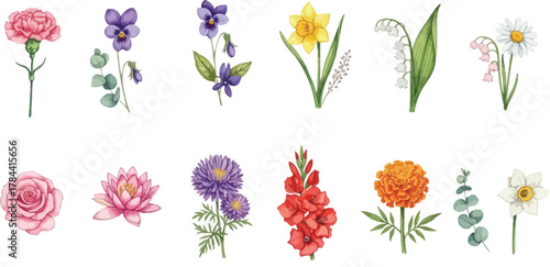Watercolor illustration of various flowers including roses, lilies, daffodils, and carnations