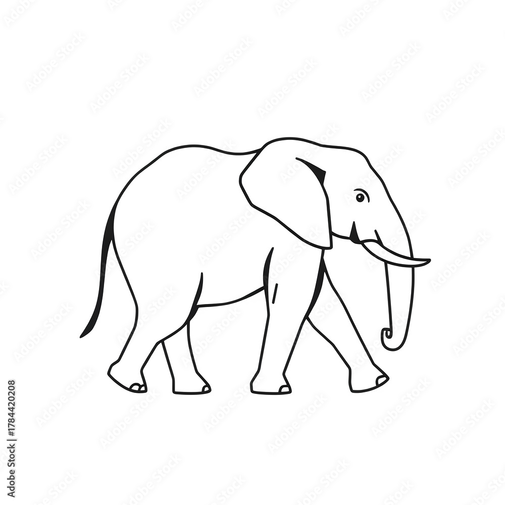 Fototapeta premium elephant vector illustration