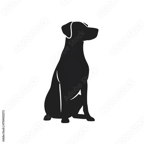 black cat silhouette