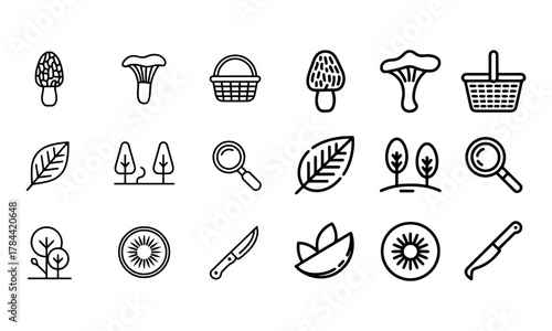 Foraging and nature exploration line icons set: mushrooms, basket, leaf, trees