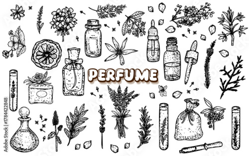 vintage perfume aromatherapy floral hand drawn doodle aesthetic natural element set