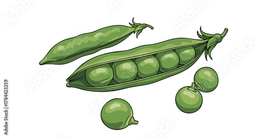 Illustration of pea pods, one open with peas, others whole, against a white background