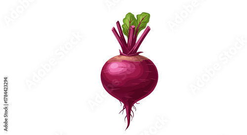 A colorful, isolated beet with leaves and roots on white background