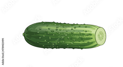 An illustrated green cucumber, partially sliced, showing the internal pattern, isolated on white