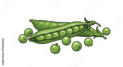 Artistic illustration of green pea pods and peas on a white background